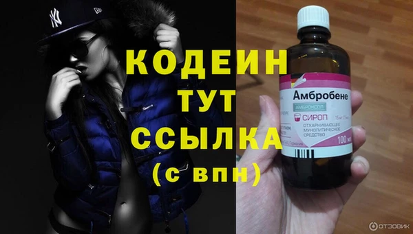 дживик Карпинск