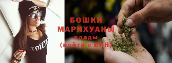 дживик Карпинск