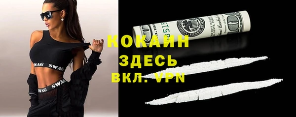 ГАЛЛЮЦИНОГЕННЫЕ ГРИБЫ Каменка