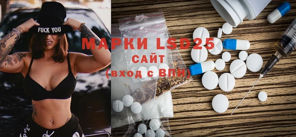 ГАЛЛЮЦИНОГЕННЫЕ ГРИБЫ Каменка