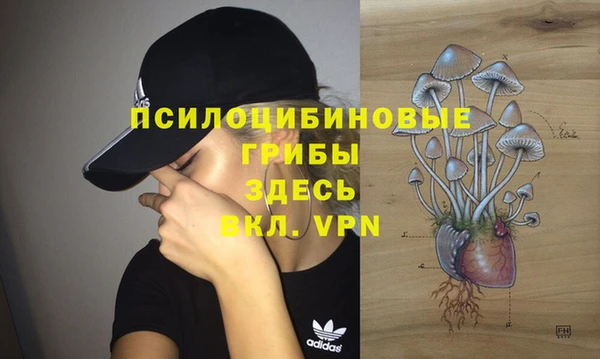 mdpv Долгопрудный