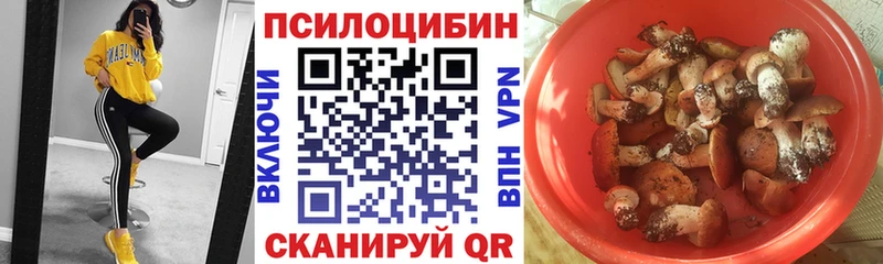 Галлюциногенные грибы Cubensis  Купить  Барыш 